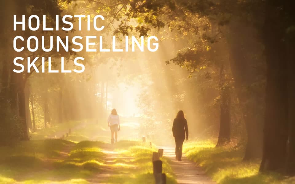 Holistic Counselling Skills