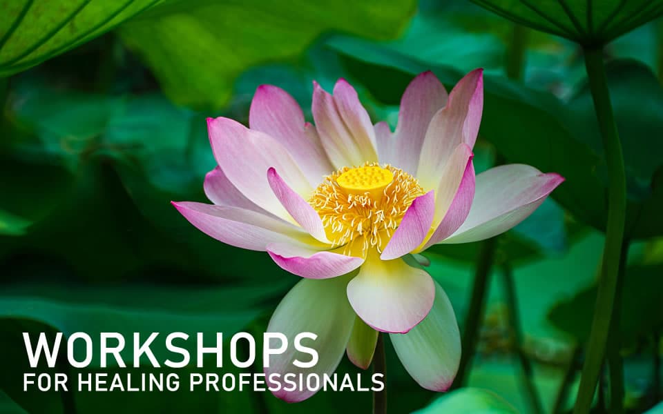 Workshops for Healing Professionals